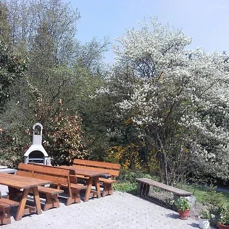 Gemuetliches In Haberbuehl Mit Grosser Terrasse Kollnburg