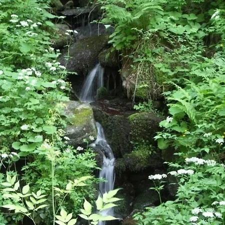 Nyaraló Gemuetliches In Haberbuehl Mit Grosser Terrasse